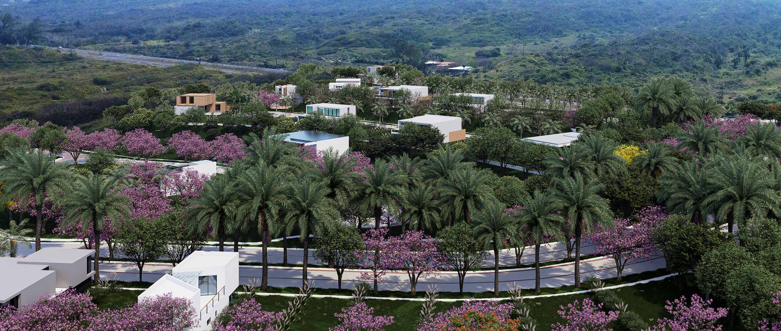 imagen representativa