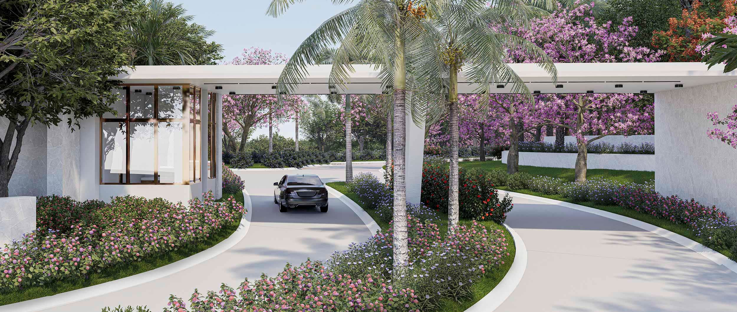 imagen representativa