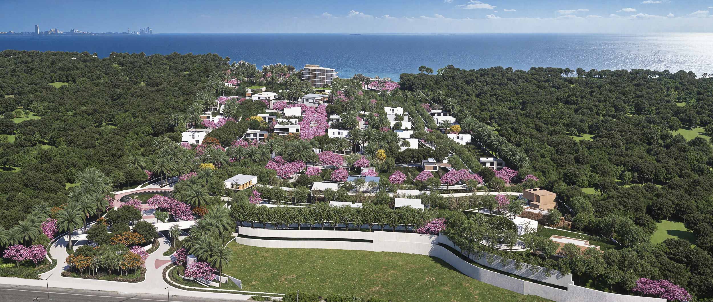 imagen representativa