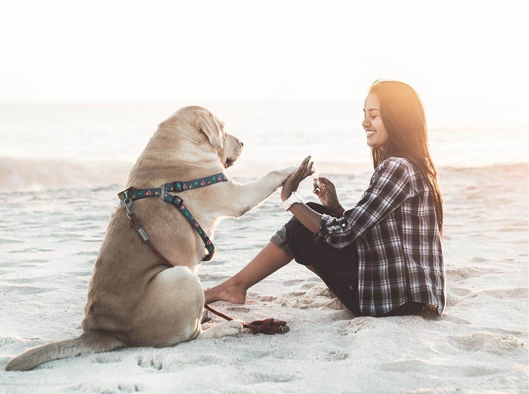 imagen representativa