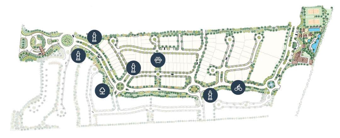 imagen-representativa