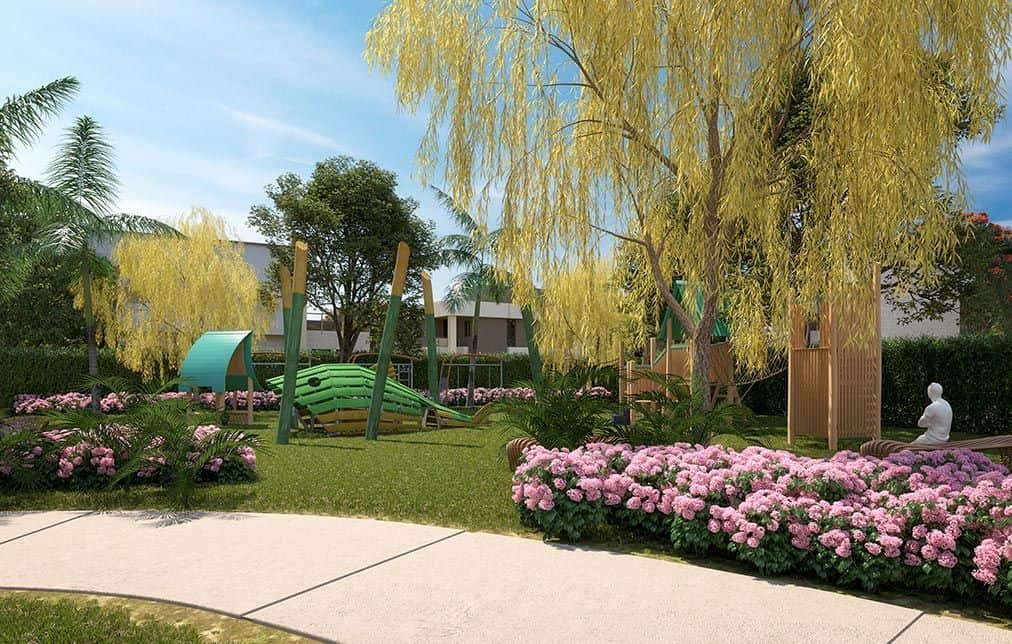 imagen representativa